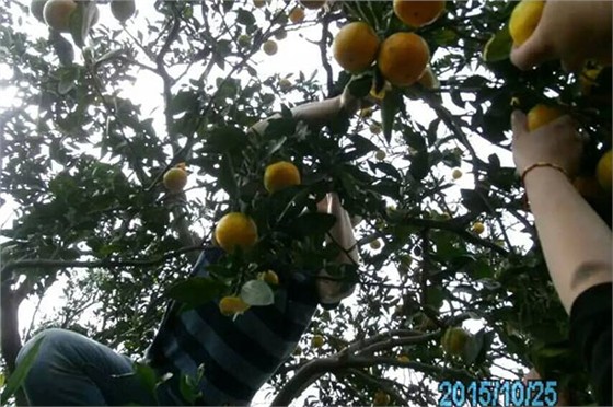 润凯汽车配件公司团队活动